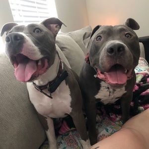 Meet your Posher, Carissa